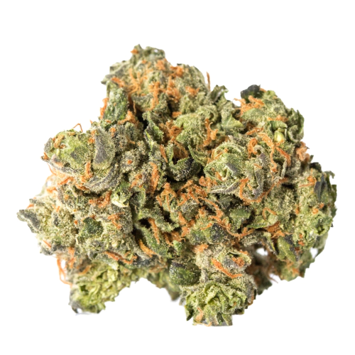 Strawberry Kush Seeds for sale